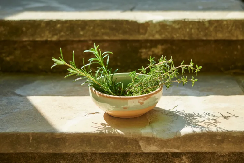 Healthy Habits Never Seem to Stick