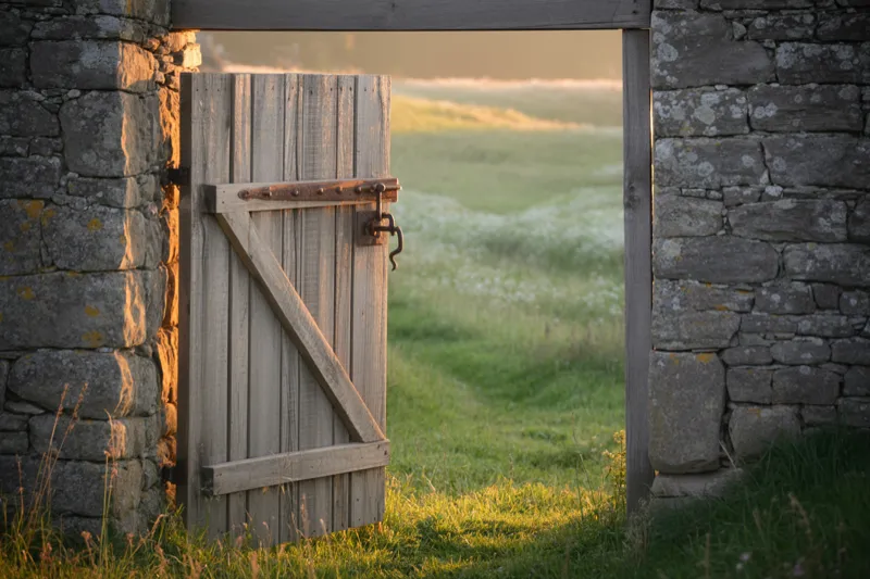 Why Starting Is Easy and Staying Isn't