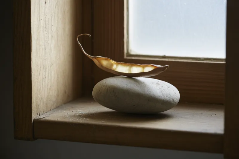 Shame Lives Deeper Than Words