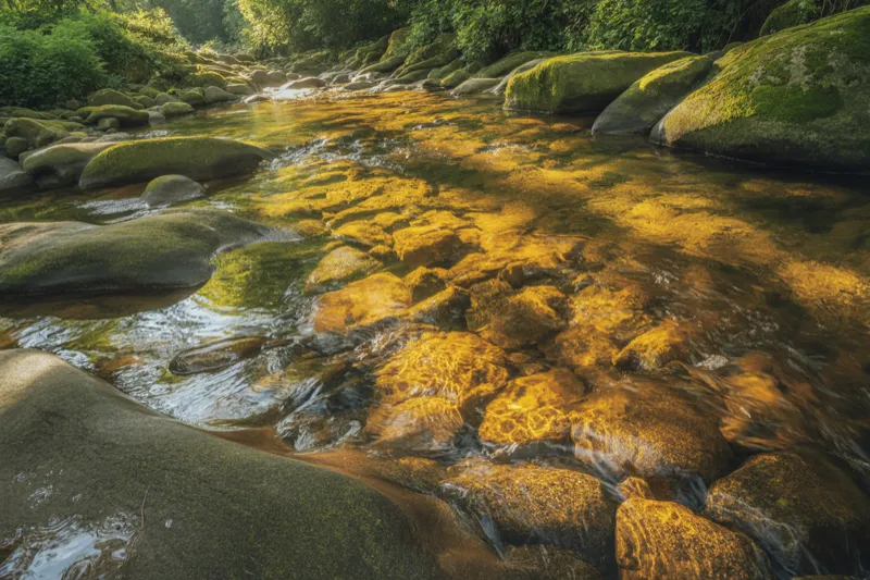 Wealth Keeps Slipping Through Your Fingers