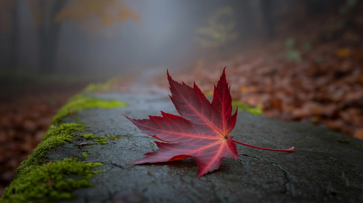 The quiet ache of regret that lingers beneath the surface